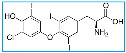 LEVOTHYROXINE EP IMPURITY B 